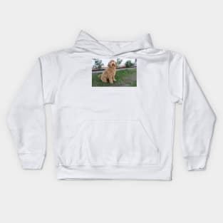 Labradoodle Digital Painting Kids Hoodie